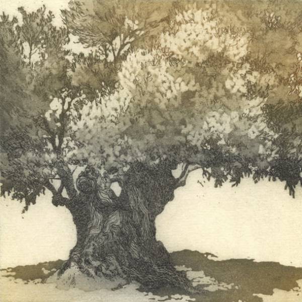 - a , Print by Chrissy Norman, measuring 15 x 15 cm (H x W) framed at 33 x 33 cm £125
